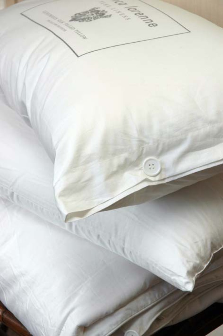 Bianca Lorenne - Silk Pillow Standard and Lodge (King) image 0